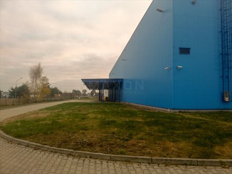 Lokal użytkowy na wynajem Bydgoszcz, ul. Hermana Frankego 3 700m2 Foto 5