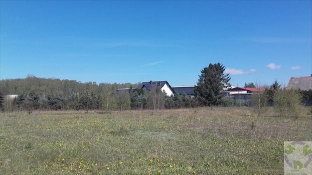 Działka inna na sprzedaż Miszewko 3 675m2 Foto 4