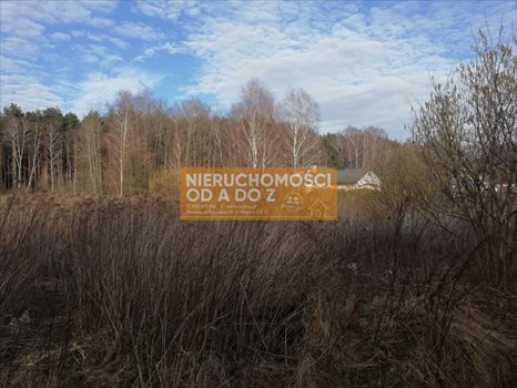 Działka budowlana na sprzedaż Otwock 6 500m2 Foto 2