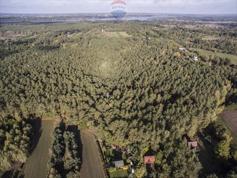 Działka rekreacyjna na sprzedaż Stare Załubice 2 000m2 Foto 3