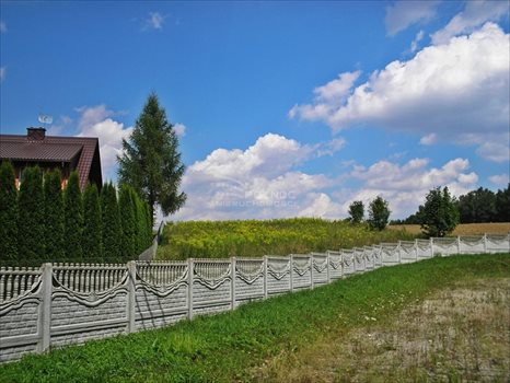 Działka budowlana na sprzedaż Domaniewice 7 529m2 Foto 1