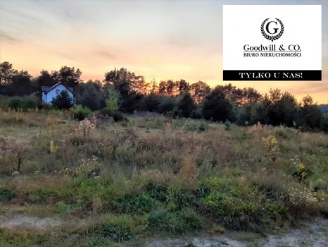 Działka budowlana na sprzedaż Bojano, Majora Bojana 1 000m2 Foto 5
