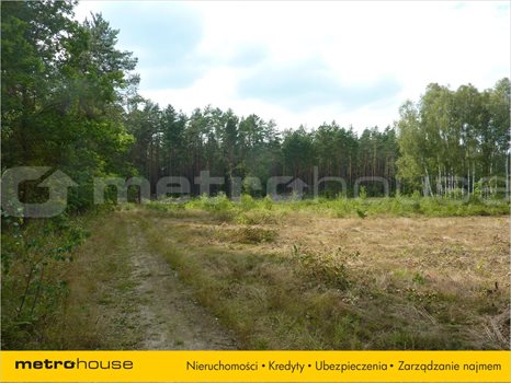 Działka inna na sprzedaż Stękiny, Jonkowo 25 000m2 Foto 5