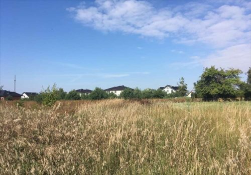 Działka budowlana na sprzedaż Dębienko 915m2 Foto 3