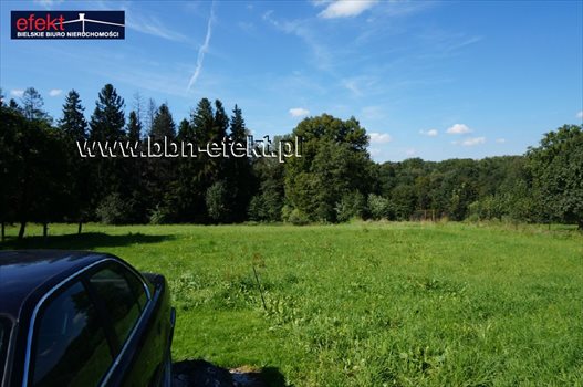 Działka budowlana na sprzedaż Świętoszówka 4 707m2 Foto 3