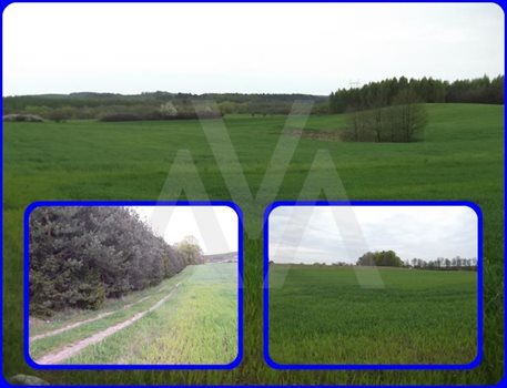 Działka siedliskowa na sprzedaż Trąbki Małe, Las, Przy lesie 23 300m2 Foto 4