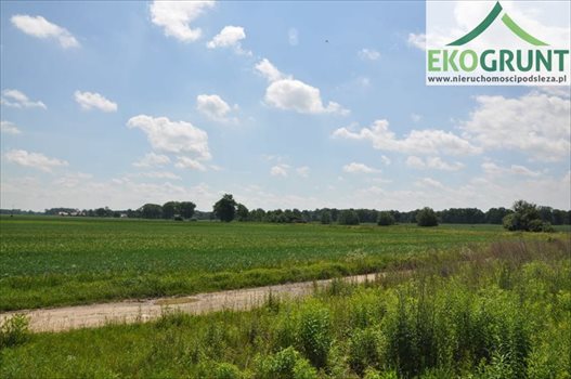 Działka budowlana na sprzedaż Rogów Sobócki, Szkolna 1 731m2 Foto 1