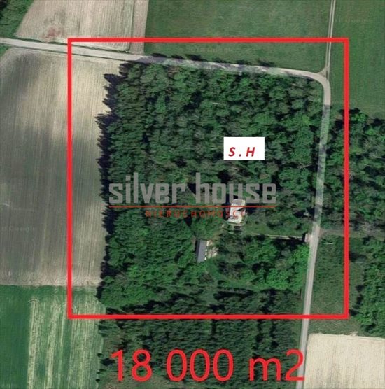 Dom na sprzedaż Błonie 180m2 Foto 3