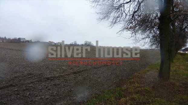 Działka przemysłowo-handlowa na sprzedaż Płochocin 16 000m2 Foto 2