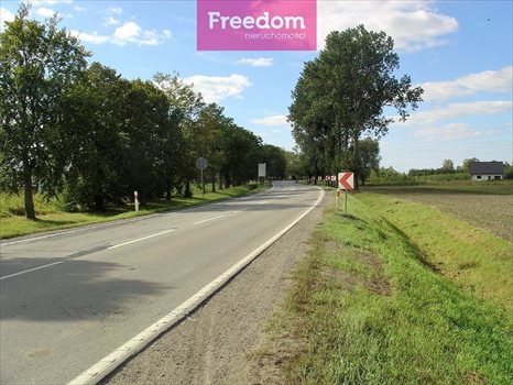 Działka budowlana na sprzedaż Cisy 1 507m2 Foto 3
