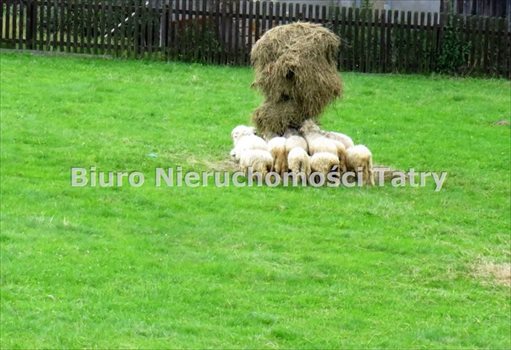 Mieszkanie trzypokojowe na sprzedaż Kościelisko 49m2 Foto 12