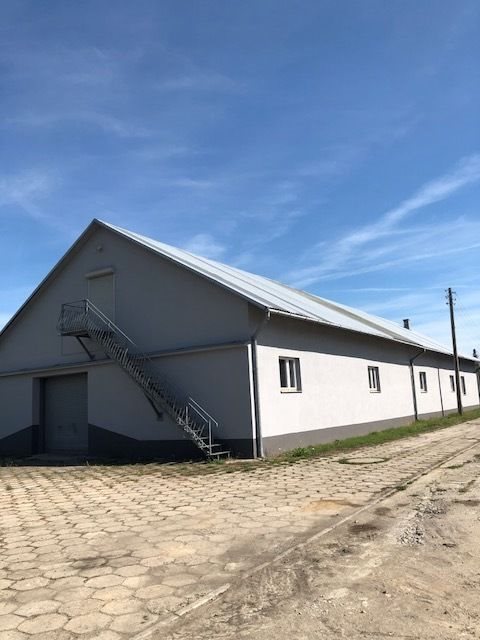 Lokal użytkowy na wynajem Dobrzechów, Dobrzechów 500m2 Foto 4