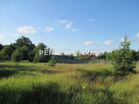 Działka budowlana na sprzedaż Puszczykowo, Puszczykówko, 3 Maja 2 047m2 Foto 2
