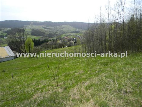 Działka rolna na sprzedaż Stara Wieś 12 900m2 Foto 3