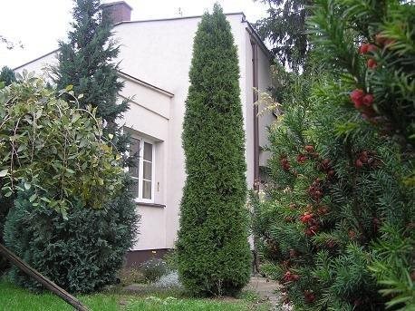 Działka inwestycyjna na sprzedaż Warszawa, Włochy, Aksamitna 29 1 200m2 Foto 9