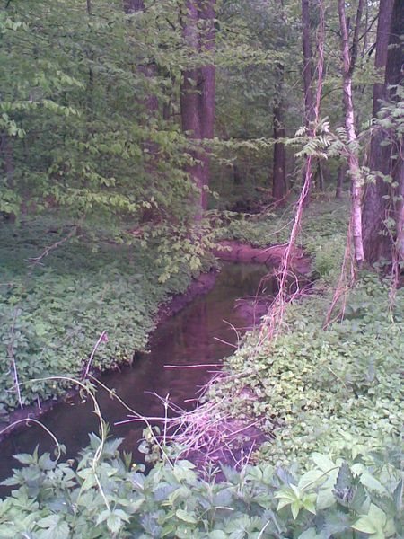 Dom na sprzedaż Garwolin, Garwolin okolice 242m2 Foto 3
