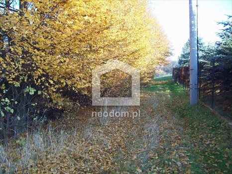 Działka inna na sprzedaż Gaj 800m2 Foto 9