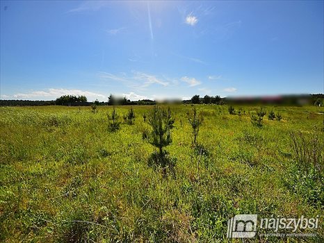 Działka rekreacyjna na sprzedaż Wisełka, Centrum 1 071m2 Foto 11