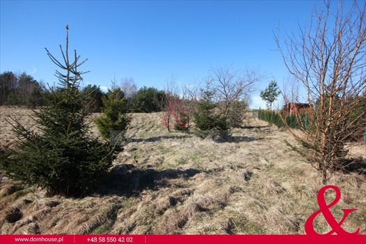 Działka budowlana na sprzedaż Sitno 2 100m2 Foto 3