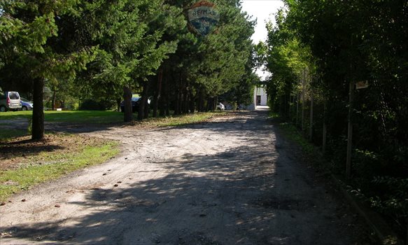 Lokal użytkowy na sprzedaż Michałów-Grabina, Kwiatowa 1 091m2 Foto 10