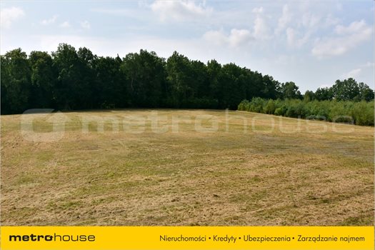 Działka rolna na sprzedaż Smolajny, Dobre Miasto 3 548m2 Foto 4