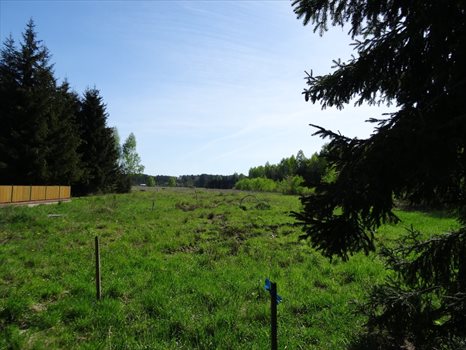Działka inwestycyjna na sprzedaż Wrzesina 94 000m2 Foto 8
