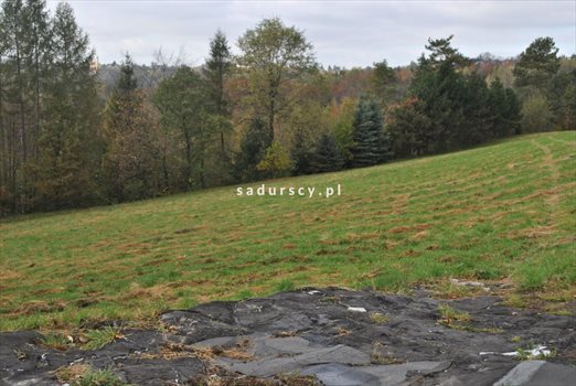 Działka budowlana na sprzedaż Siercza 4 700m2 Foto 9
