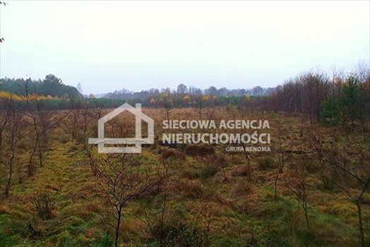 Działka leśna na sprzedaż Skwierawy 64 900m2 Foto 8