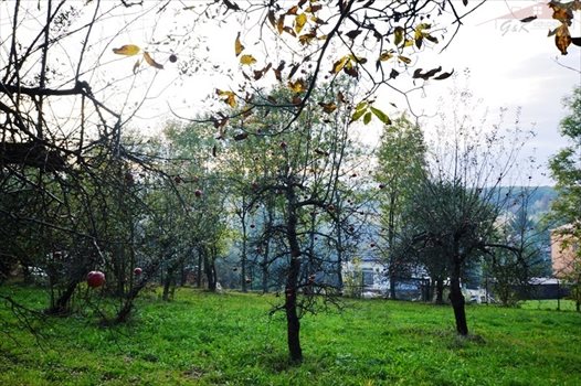 Działka rekreacyjna na sprzedaż Żurawica 2 200m2 Foto 5