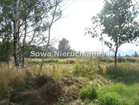 Działka inna na sprzedaż Wałbrzych, Śródmieście 1 300m2 Foto 2