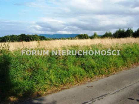 Działka budowlana na sprzedaż Bielsko-Biała, Stare Bielsko 3 240m2 Foto 4