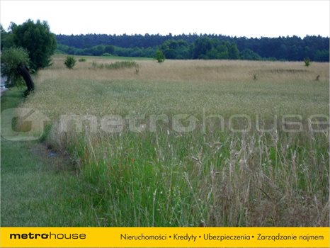 Działka siedliskowa na sprzedaż Miękowo, Czerwonak 129 000m2 Foto 2