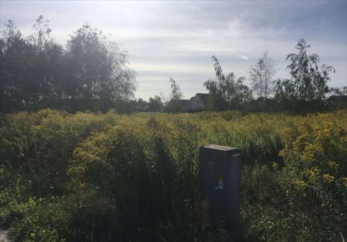 Działka budowlana na sprzedaż Paczkowo, Budowlana 830m2 Foto 1