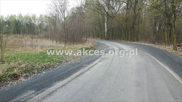 Działka budowlana na sprzedaż Stefanówka 6 231m2 Foto 8