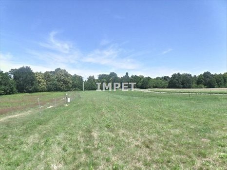 Działka inna na sprzedaż Koźlice 10 081m2 Foto 2