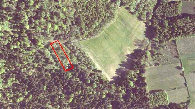 Działka rolna na sprzedaż Strzegowa 5 884m2 Foto 2
