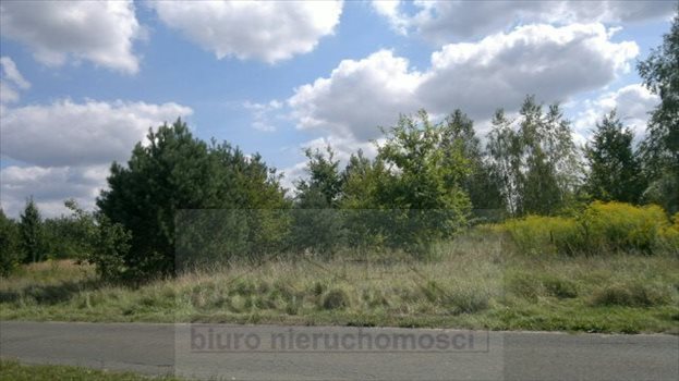 Działka rolna na sprzedaż Łoś 1 000m2 Foto 4