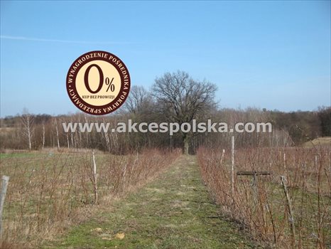 Działka inna na sprzedaż Kazimierz Dolny, Góry 3 300m2 Foto 8