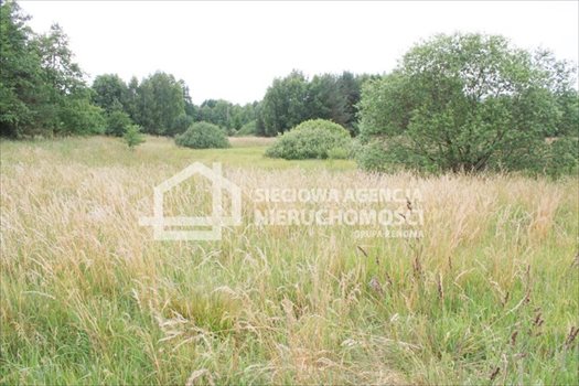 Działka budowlana na sprzedaż Sitno 3 664m2 Foto 5