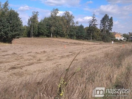 Działka siedliskowa na sprzedaż Kolincz, obrzeża 4 900m2 Foto 11