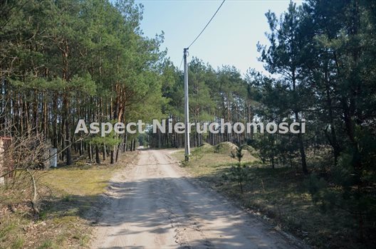 Działka inna na sprzedaż Wyszków, Kamieńczyk 1 000m2 Foto 5