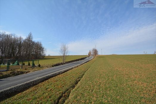 Działka rekreacyjna na sprzedaż Drohobyczka 5 800m2 Foto 12