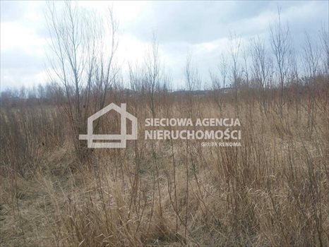 Działka przemysłowo-handlowa na sprzedaż Kębłowo 5 241m2 Foto 1