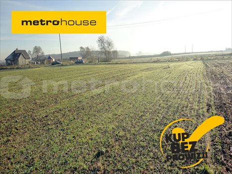 Działka inna na sprzedaż Golęczewo, Suchy Las 1 196m2 Foto 1