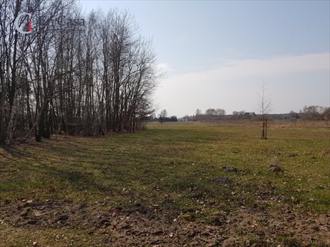 Działka budowlana na sprzedaż Książenice 2 307m2 Foto 3