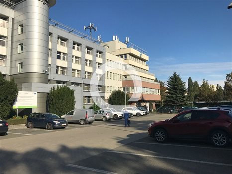 Lokal użytkowy na wynajem Gdańsk, Wrzeszcz 503m2 Foto 1