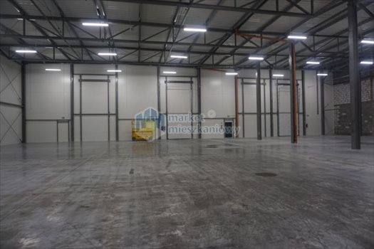 Lokal użytkowy na wynajem Józefosław 3 000m2 Foto 2