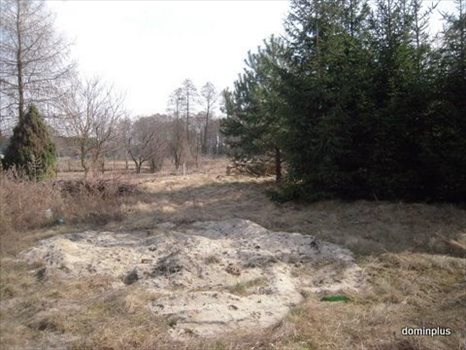 Działka inna na sprzedaż Brzozówka 3 500m2 Foto 7