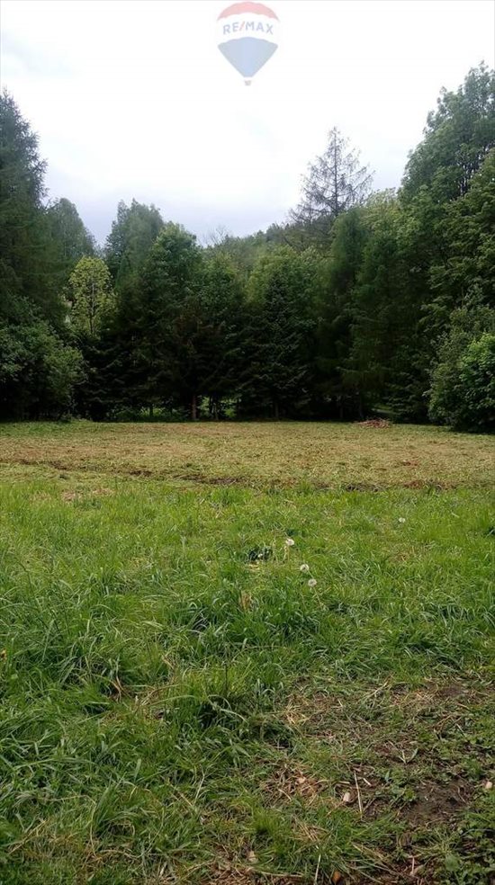Działka budowlana na sprzedaż Jeleśnia 42 000m2 Foto 2