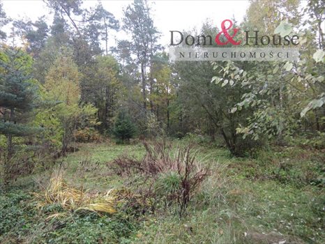 Działka rolna na sprzedaż Gdynia, Chwarzno-Wiczlino, Kazimierza Małkowskiego 5 793m2 Foto 4